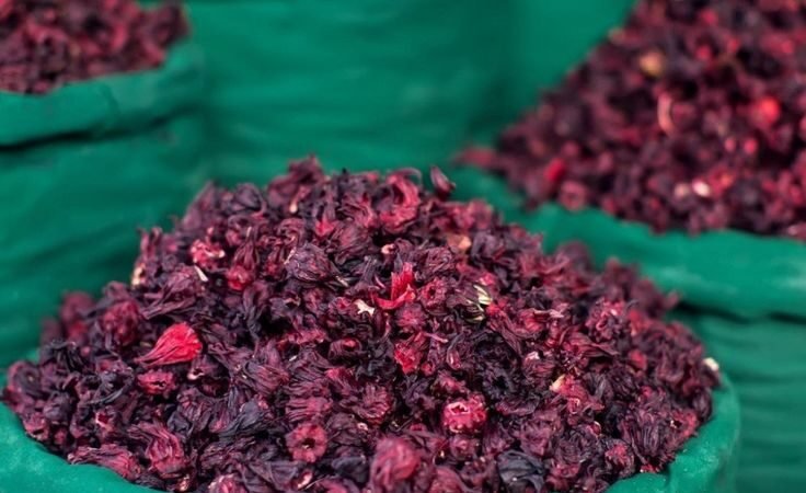 Hibiscus flower