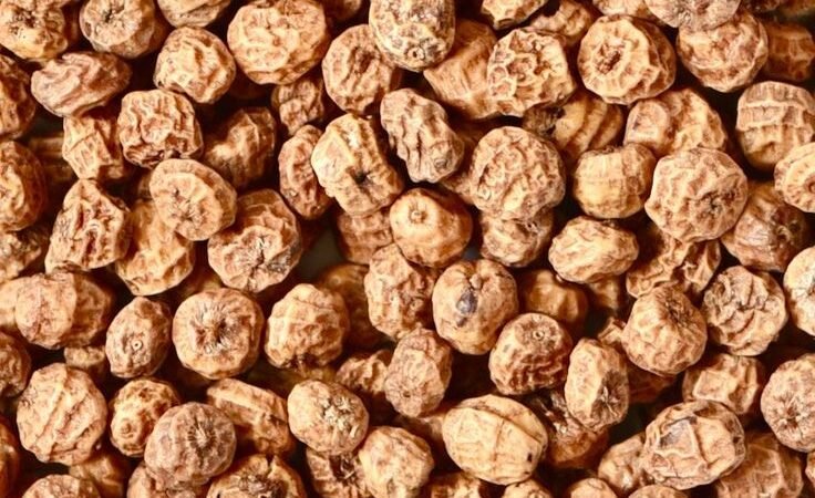 Tiger nuts