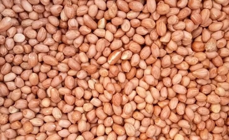 Peanuts