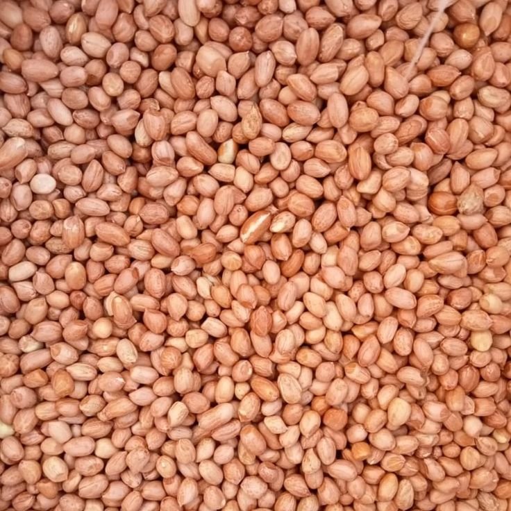 Peanuts